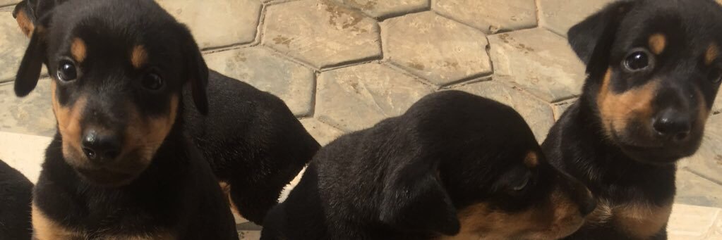 mymes24's profile banner image