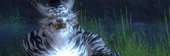 ender_shark_466's profile banner image