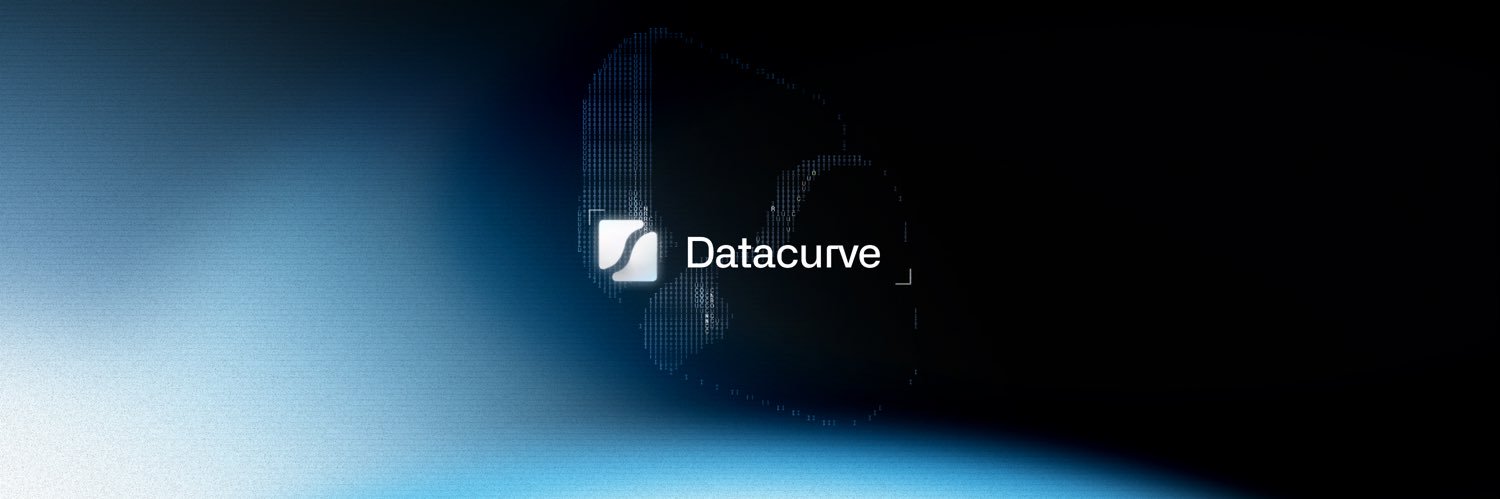 Datacurve banner