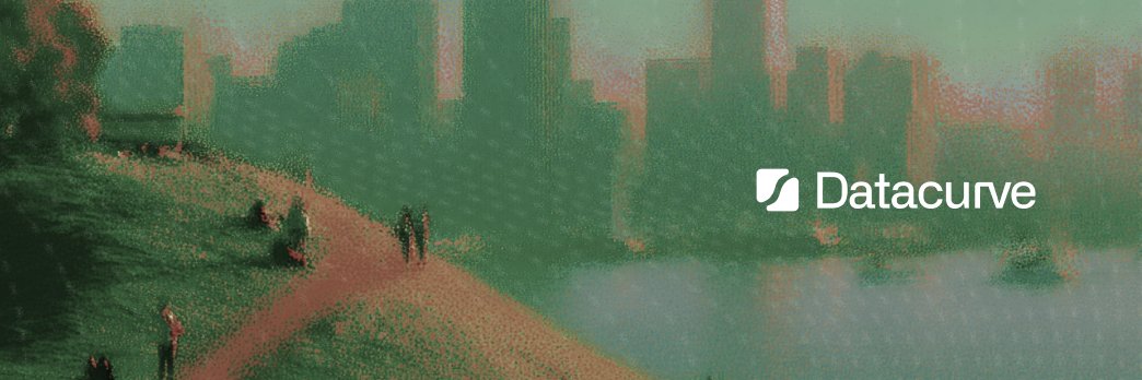 Datacurve banner
