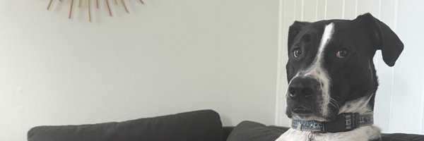 tylerfmartin Profile Banner