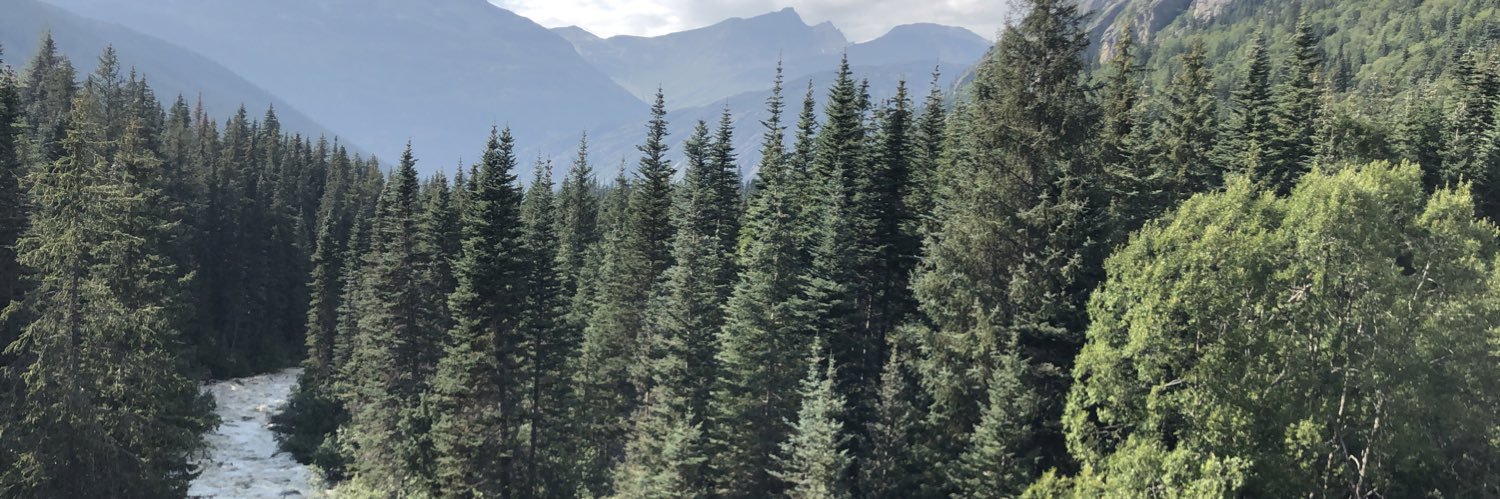 SteveKiernan's profile banner image
