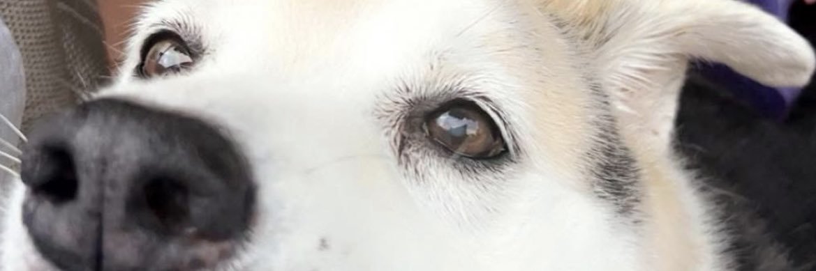 joshing_aroundd's profile banner image