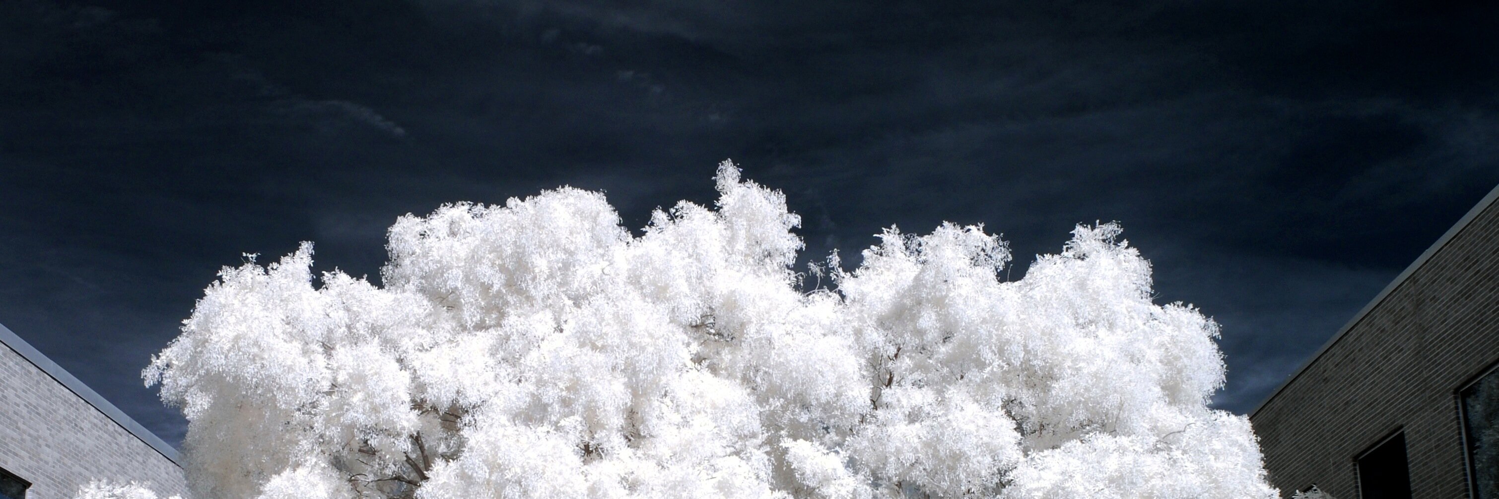 davardo's profile banner image