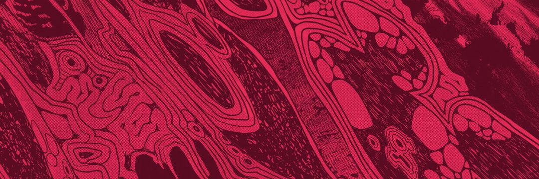 bim @ HGSN BRAINROT's banner