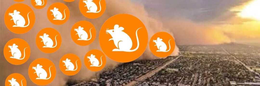 RATS-Ordinals banner