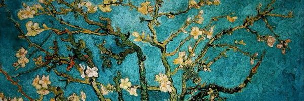 CatalinaLagosT Profile Banner