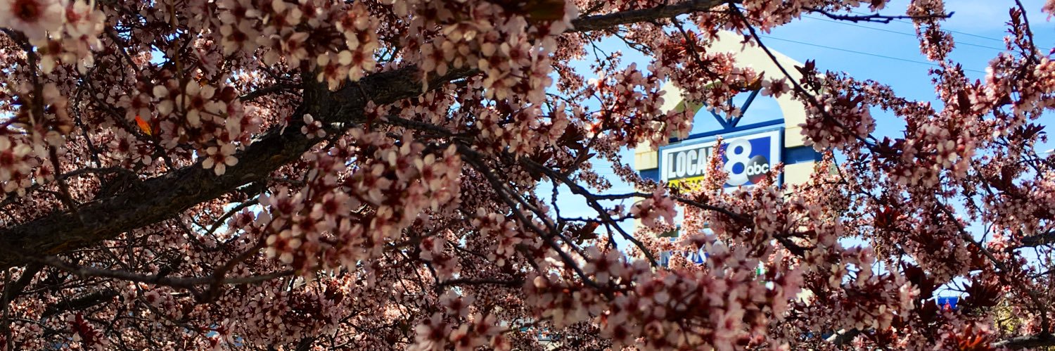 Local News 8 banner