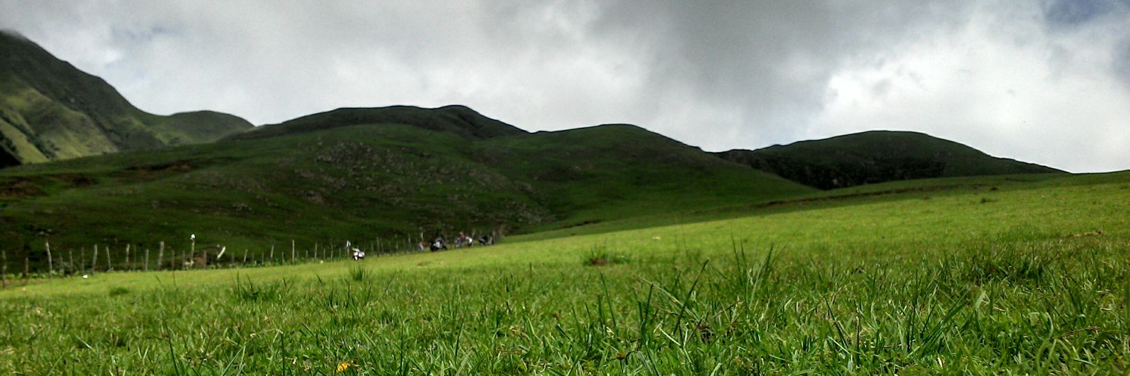 Cristian Sanchez banner