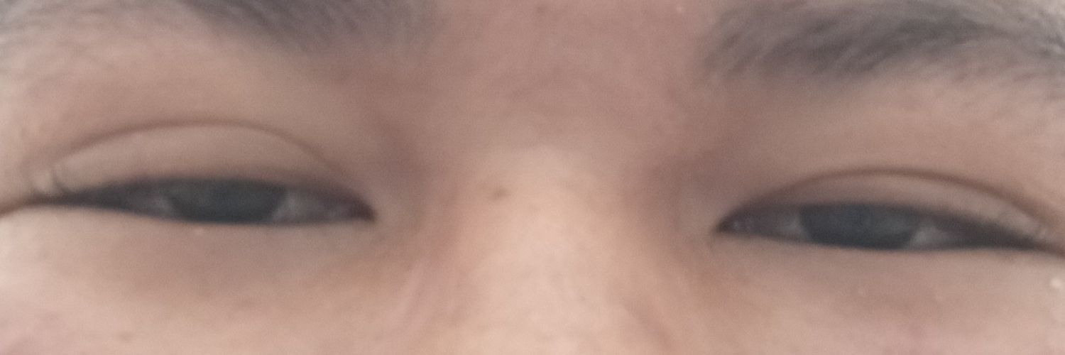 viesss banner