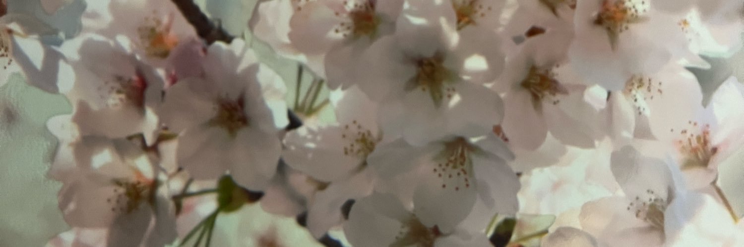 min176t's profile banner image