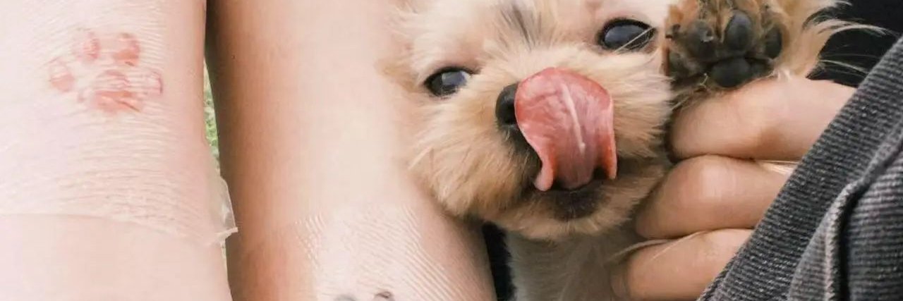 kitttyy01's profile banner image