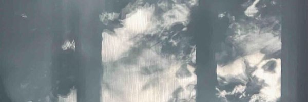 zhangwukimapipi Profile Banner