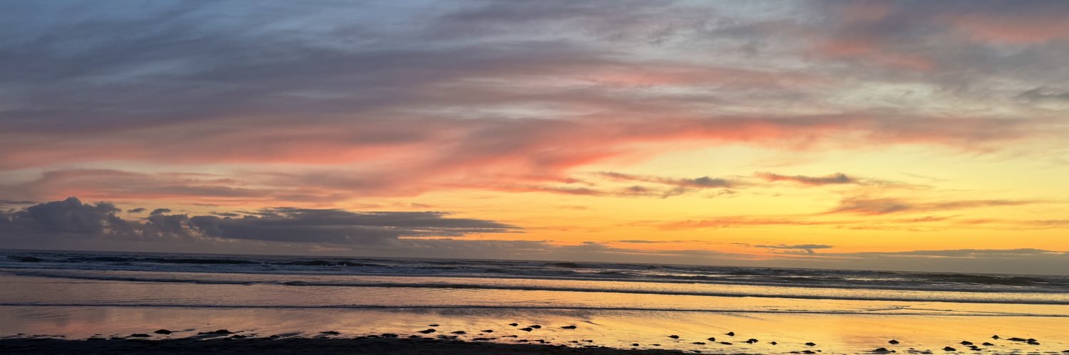 Lanie🌺 banner