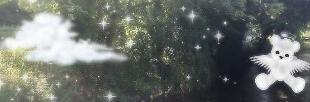 𖠪᭄ּ۫ɞ banner