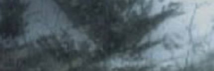 L banner