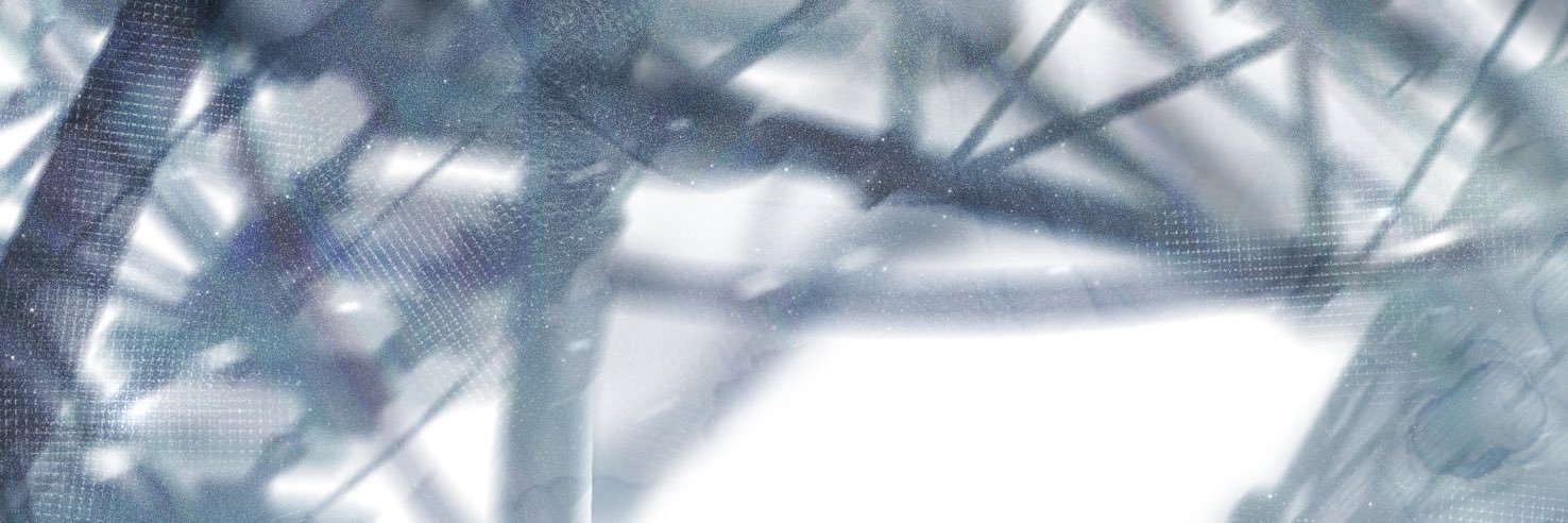 スカイ鳩 banner