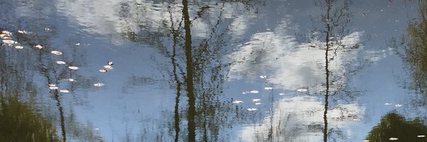 pierrebri Profile Banner