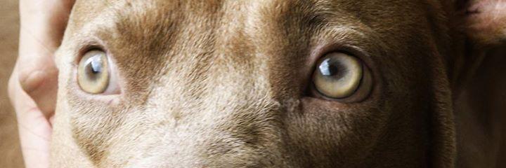 matuister's profile banner image
