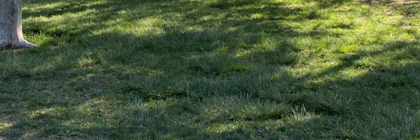alteredwys Profile Banner