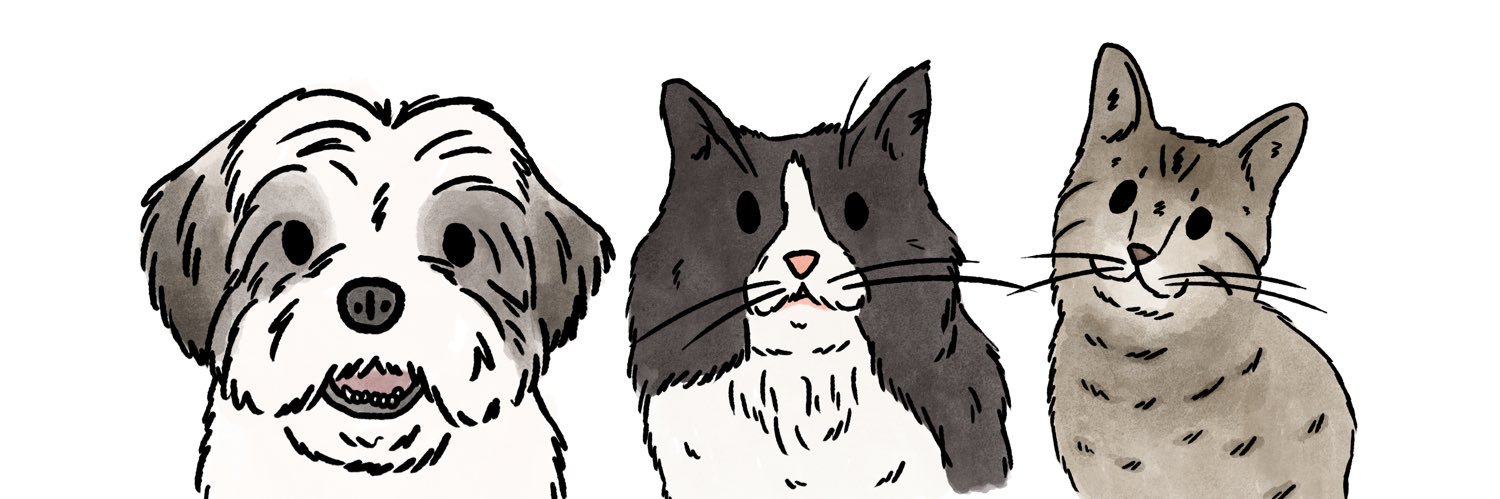 odinthe_catt's profile banner image