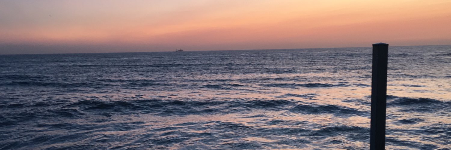 naticuozzo's profile banner image