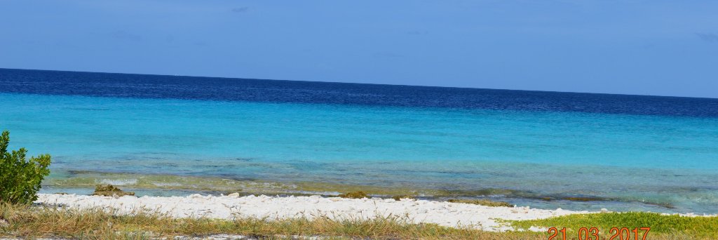 lizlapham's profile banner image