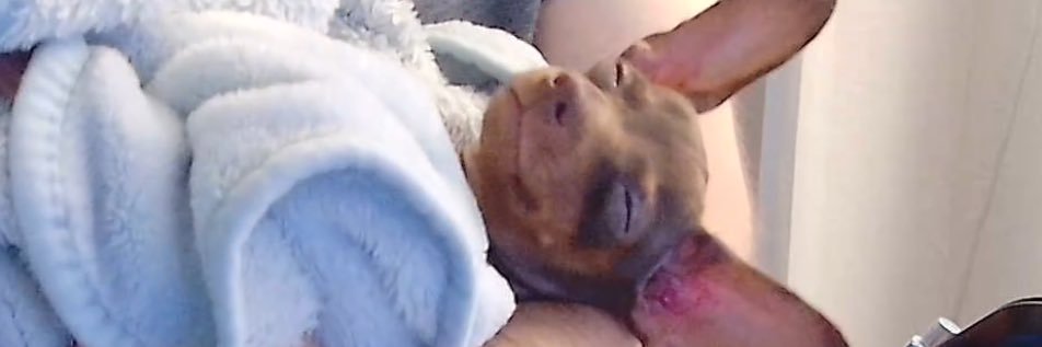 Daniel Fenner banner