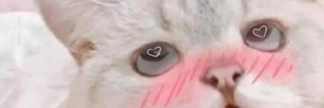 Ann101fa's profile banner image