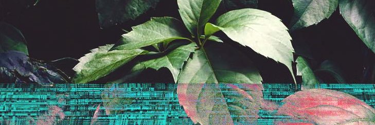 glitch_D's profile banner image