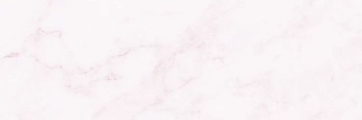 🐈⸝꙳.‎˖ banner