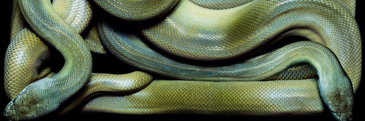 luna’r 🜚 🌙 banner