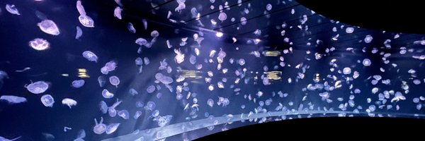 ihiroall Profile Banner