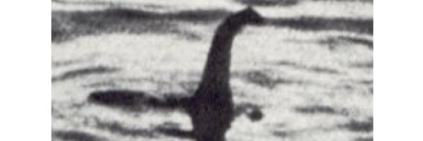 JoeBusch_ Profile Banner