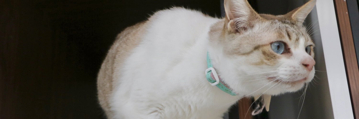 ディア・ウリエル🌟就労継続支援B型 banner