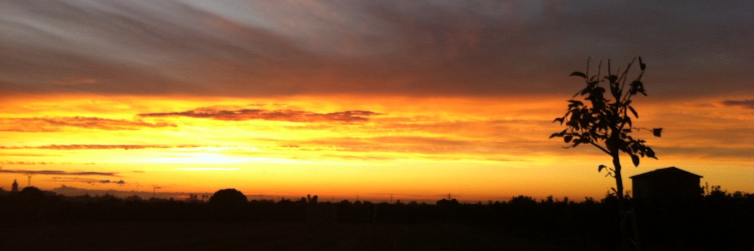 Enrique Ibáñez banner