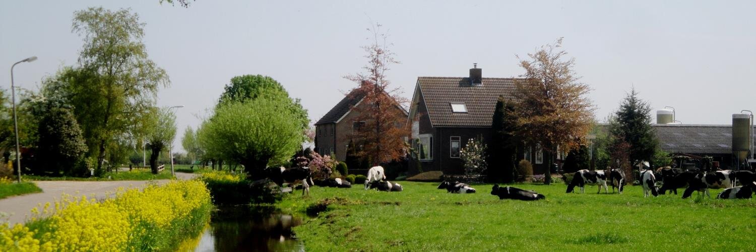 Jonette Korevaar banner