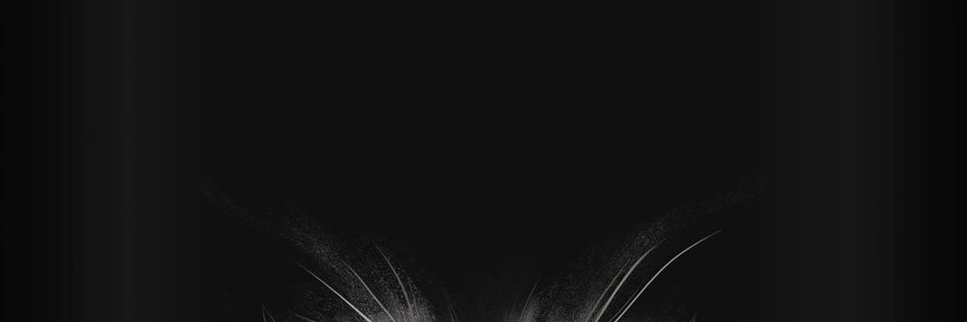 catLadycr's profile banner image