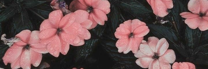 kaline_ms's profile banner image
