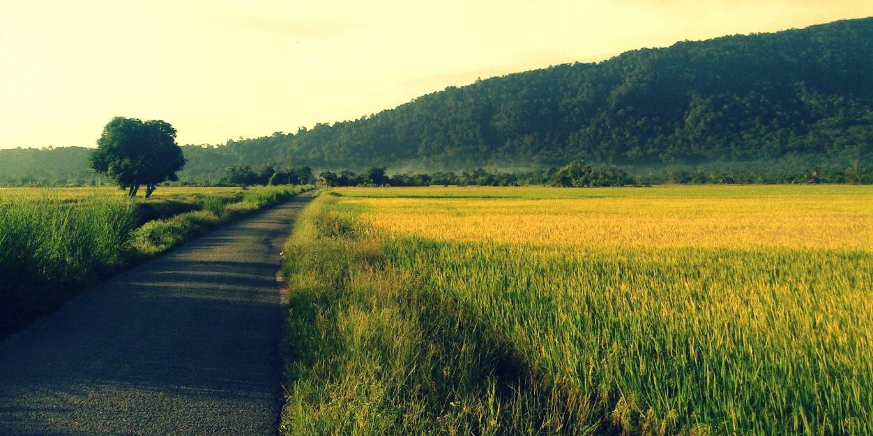 _mbukhari's profile banner image