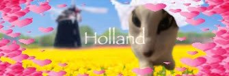 TheCatNamedMags's banner
