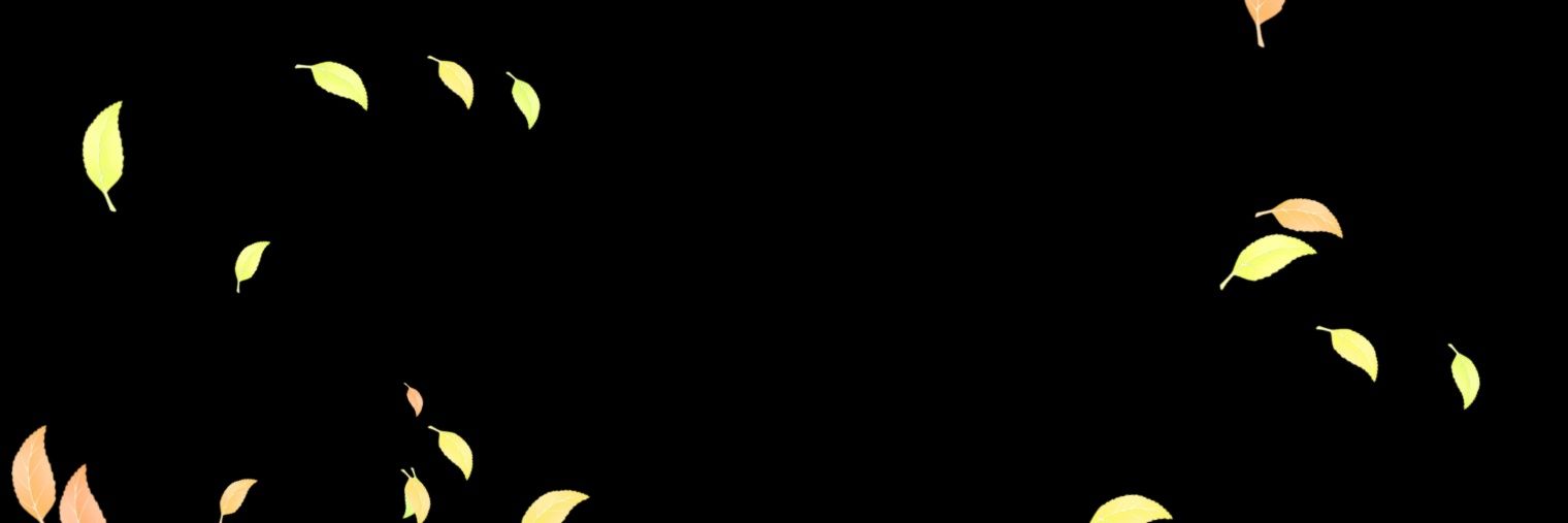 Elz's banner
