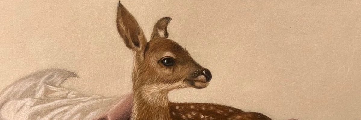 Rosemishaa's profile banner image