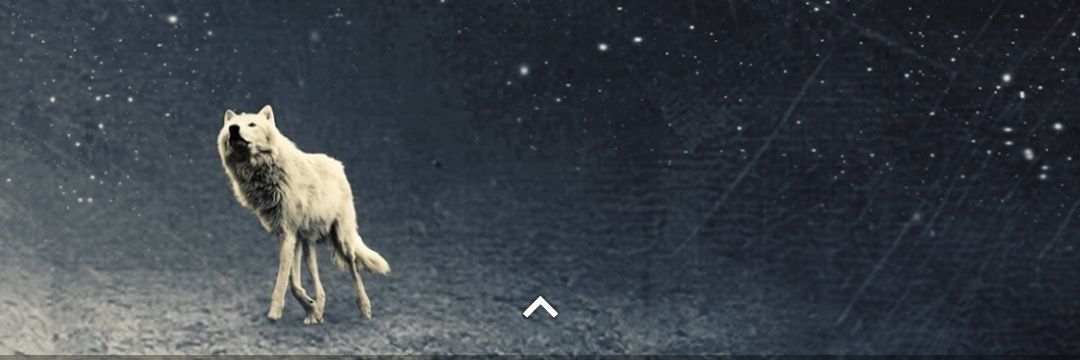 SarriaJohan11's profile banner image
