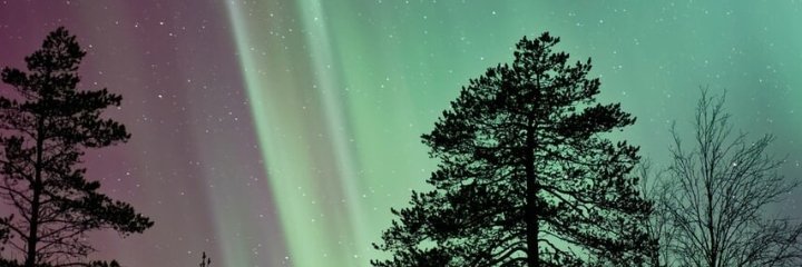 SADAR WOY 😡😡😡 banner