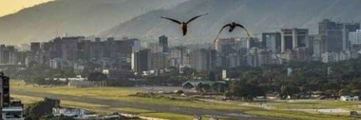 dario_1975's profile banner image