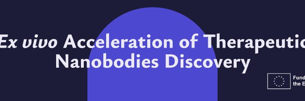 projectaladdin Profile Banner