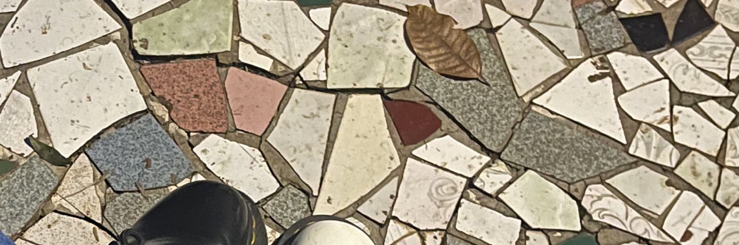 amanealyssa's profile banner image