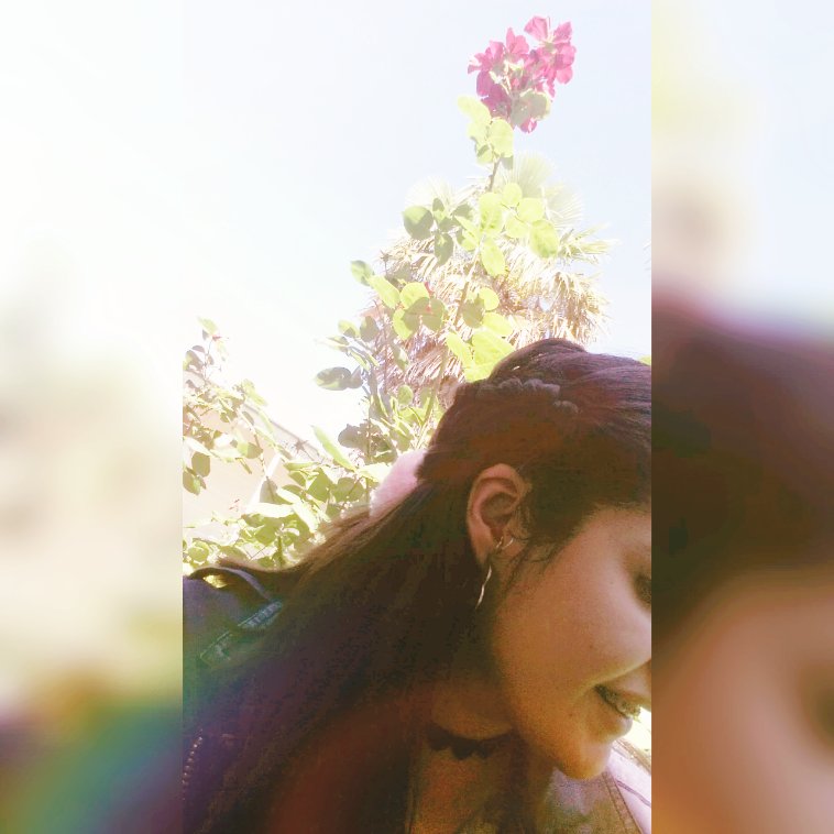 Tamii_Menaa's profile banner image
