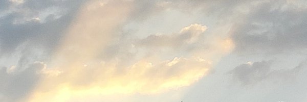 HevitHeWolf Profile Banner